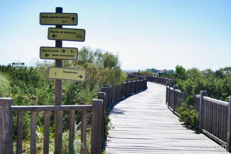 Apartamento Primera Linea De Playa Valdelagrana El Puerto de Santa María Dış mekan fotoğraf
